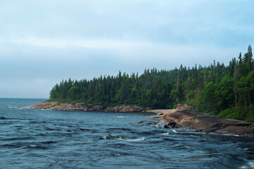 Edge of the turbulent river near a coniferous forest