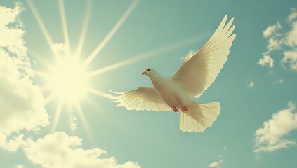 Fototapeta premium White dove flying in bright sunlight against turquoise sky with fluffy clouds, wings spread wide in graceful soaring motion, symbolizing peace and spirituality.