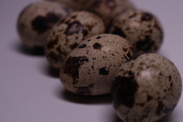 quail eggs