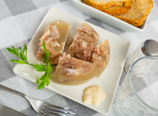 Traditional dish of Russian cuisine is a kholodets made from a jelly-like mass from cooling meat broth with pieces of meat. ..Served with sauce and garnished with a sprig of fresh parsley