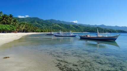 Fototapeta premium A line of small boats anchored near a serene beach with clear waters.