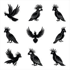 Cockatoo birds silhouette vector illustration