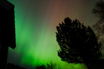 bright green northern lights on farm