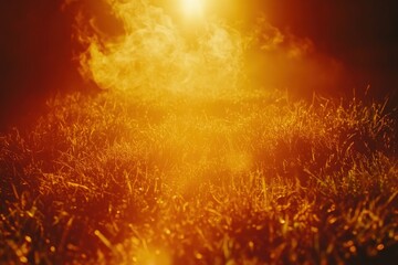 Fototapeta premium Golden sunset over grassy field, hazy light. Use Background, website