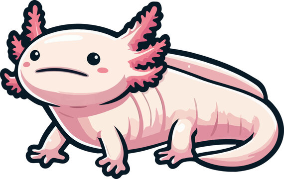cute cartoon vector axolotl isolated on the white background 