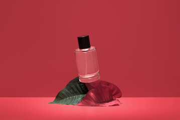 Elegant Perfume Bottle Displayed on Red Background with Leaves
