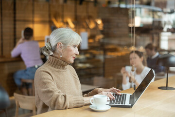 Elderly woman spending time in cozy coffeehouse with laptop and coffee