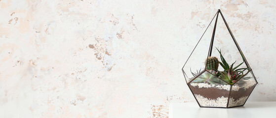 Florarium on table near light wall