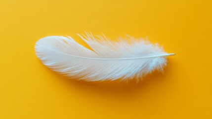 Fototapeta premium Single white feather rests on a yellow background