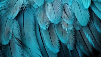 Ethereal Silhouette of Soft Turquoise Feathers A Textured Vignette Embracing the Serene Calm of Natures Tranquility, Featuring a Subtle Play of Light and Shadows.