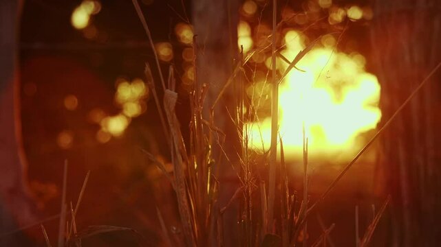 paisagens com sol no nordeste 