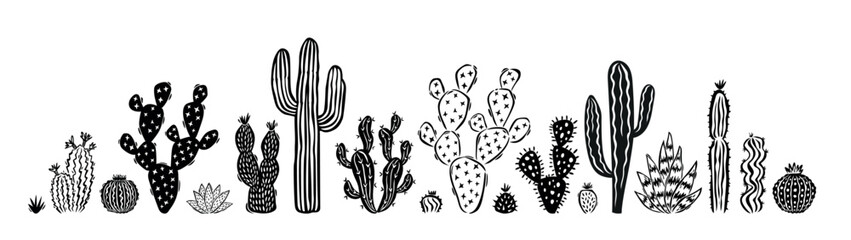 Hand drawn cactus and succulents doodle set. Collection of cute cactus sketches. Vector illustration, vintage style..eps © AZOGUE.art
