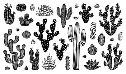 Hand drawn cactus doodle set. Collection of vintage style black and white cartoon cactus houseplant illustrations. Isolated nature desert flora element.eps