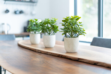 interior of a modern kitchen