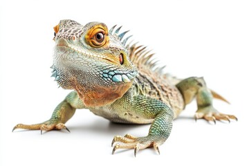 Fototapeta premium Vibrant Green Lizard Close-Up