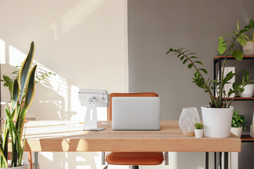 Workplace with laptop and green plants in office