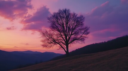 Majestic Sunset Silhouette: A Lone Tree on a Hilltop