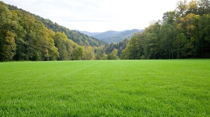 Fototapeta premium Lush green field, autumnal mountain backdrop; nature scene, scenic wallpaper