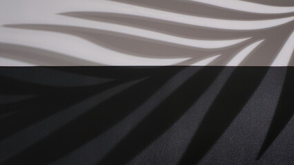 Black and White leather texture background with window plant leaf shadow. Backdrop shadows for personalize custom message