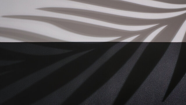 Black and White leather texture background with window plant leaf shadow. Backdrop shadows for personalize custom message