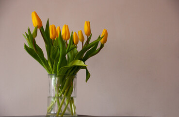 yellow tulips in vase
