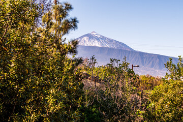Paisaje con el Pico del Teide de fondo.