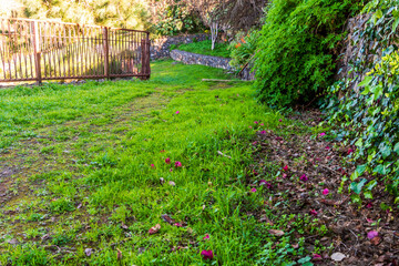 Sendero en un parque público de Tenerife.