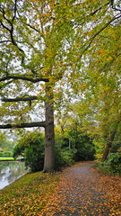 autumn in the park