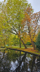 autumn in the park