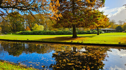 autumn landscape with trees