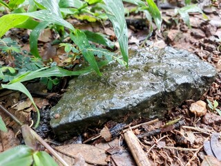 wet stone on the ground