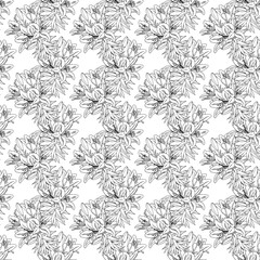 Obraz premium lily pattern 22.01.25-28