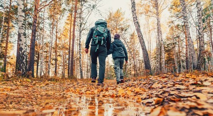Fototapeta premium father and son adventure hiking in the forest, The adventure nature of the activity creates perfect moments for father-son conversations while developing patience and perseverance.