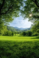 Obraz premium A breathtaking view of lush greenery framed by trees, leading to rolling hills beneath a clear blue sky, offering a tranquil escape into nature’s beauty.