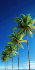Obraz premium A serene line of palm trees under a vibrant blue sky, evoking feelings of tranquility and warmth.