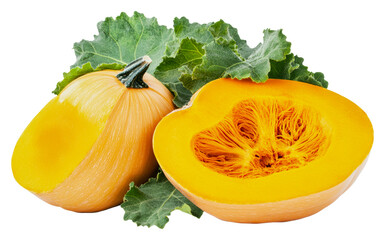 Freshly cut squash with vibrant yellow flesh isolated on transparent background