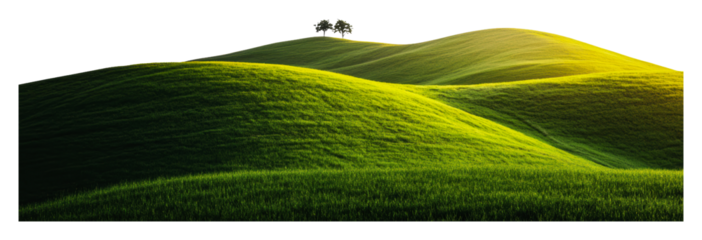 Rolling green hills with trees at sunset isolated on transparent background