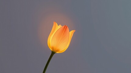 A radiant miracle flower stands tall, illuminated by a gentle glow against a twilight background, perfect for celebrating love and appreciation on special occasions