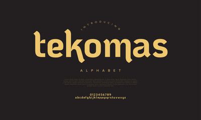 Tekomas typography beauty fashion elegant minimalist serif italic fonts decorative wedding vintage retro logos. Minimal luxury font alphabet logo. Vector illustration
