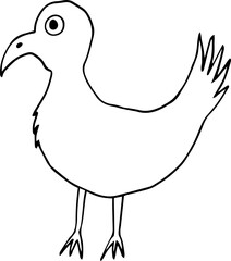 bird with curved beak side view