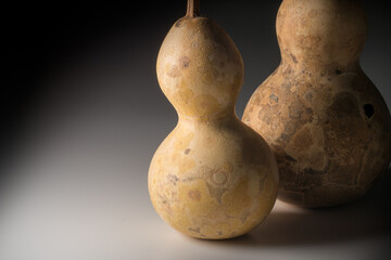 瓢箪 ひょうたん ヒョウタンの写真