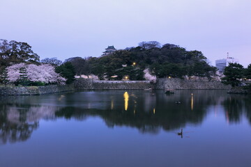 Fototapeta premium 東雲の和歌山城。