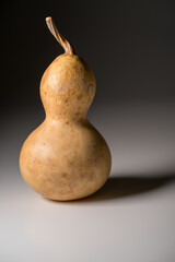 瓢箪 ひょうたん ヒョウタンの写真