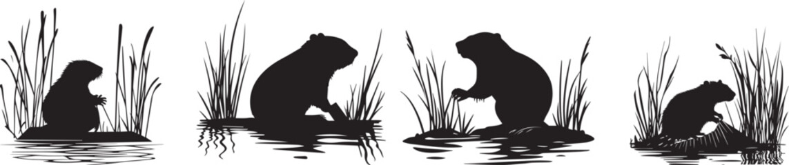 Silhouette of a beaver building a dam vector silhouette © Nazia