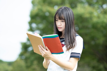Fototapeta premium 勉強する女子高生