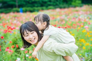Fototapeta premium 花畑を散策する親子