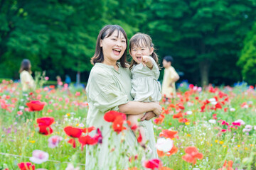 Fototapeta premium 花畑を散策する親子