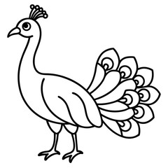 Cute Line Art Peacock Silhouette Black Vector Illustration