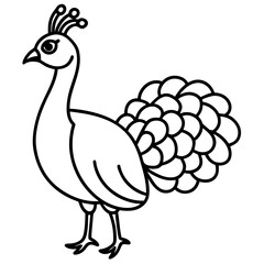 Cute Line Art Peacock Silhouette Black Vector Illustration