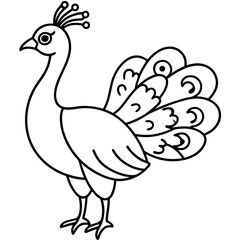 Cute Line Art Peacock Silhouette Black Vector Illustration